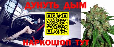 spice Гатчина