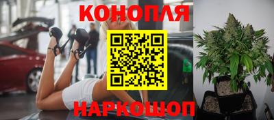 альфа пвп Гай