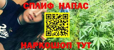 мдпв Гагарин