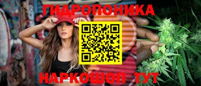spice Гатчина