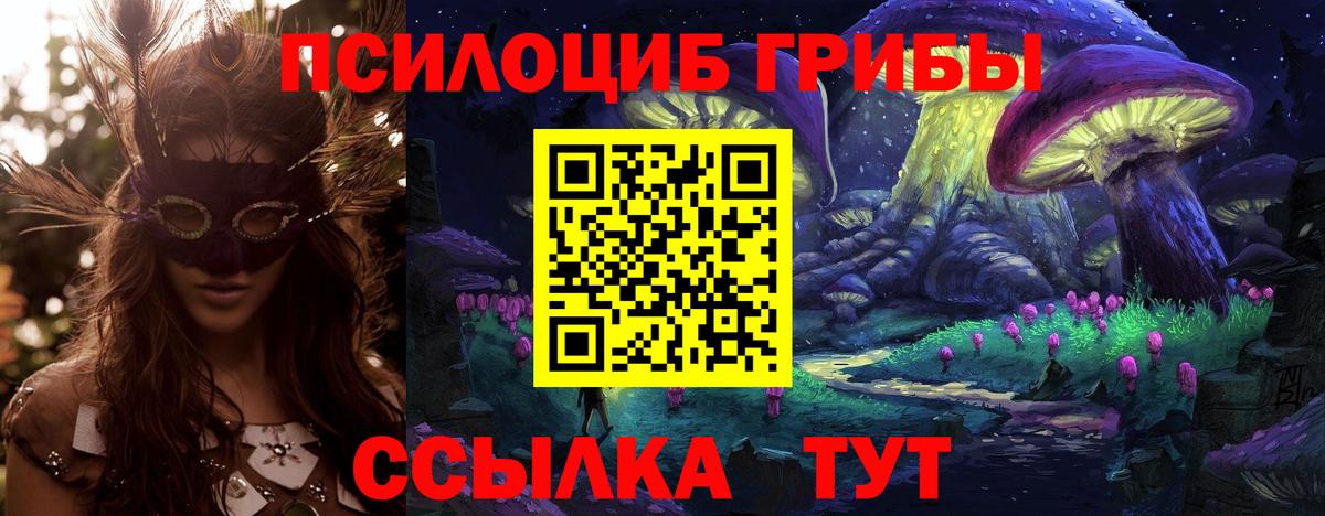 Галлюциногенные грибы Psilocybe  Вход с VPN  Луховицы 